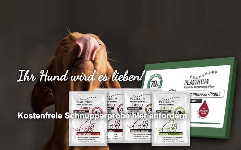 Kostenfreie PLATINUM Schnupperprobe für Hunde